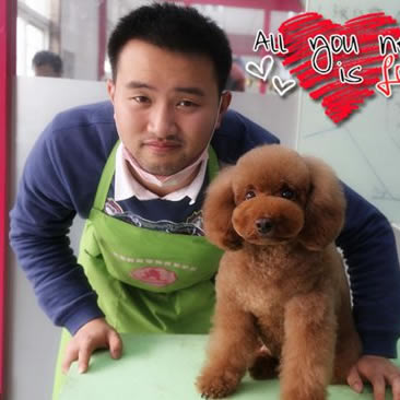 可爱日式泰迪头汇总