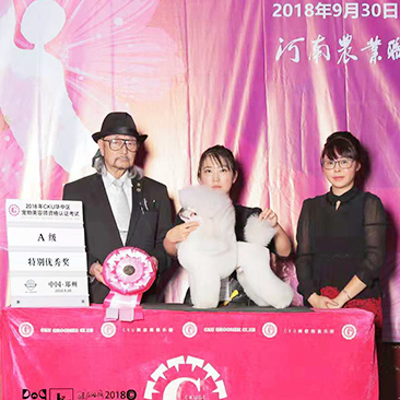 吴桐( A级特别优秀奖 )