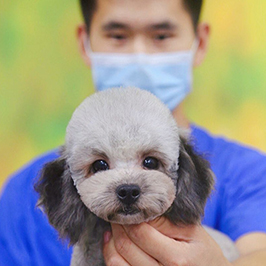 第208期C级班学生课堂作业