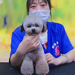 第208期C级班学生课堂作业