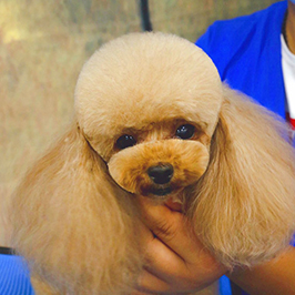 第208期C级班学生课堂作业