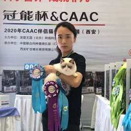 丁少颖CAAC伴侣猫繁育展成年组冠军