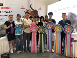 CAAC伴侣猫繁育展时尚学生大满贯