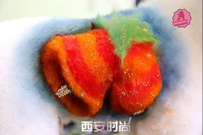 C级美容班课程(图14)