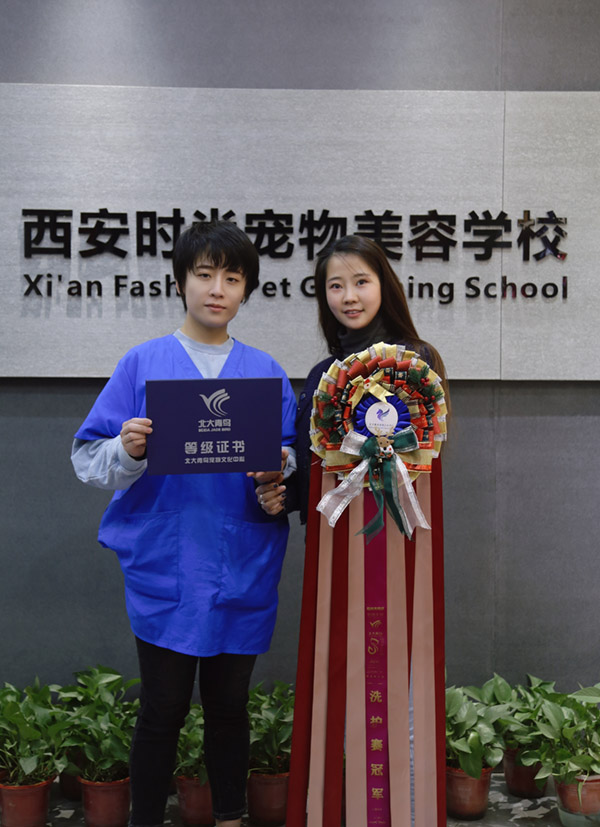 我校学生获得北大青鸟讲师级洗护资格证和商业级洗护资格证(图1)