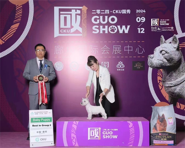 微信图片_20240523215624.jpg