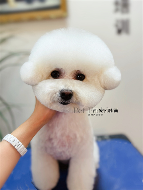 微信图片_20240523215715.jpg