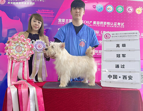 微信图片_20240529180335.jpg