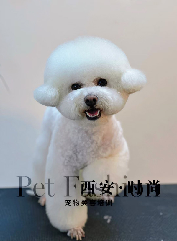 微信图片_20240604235039.jpg