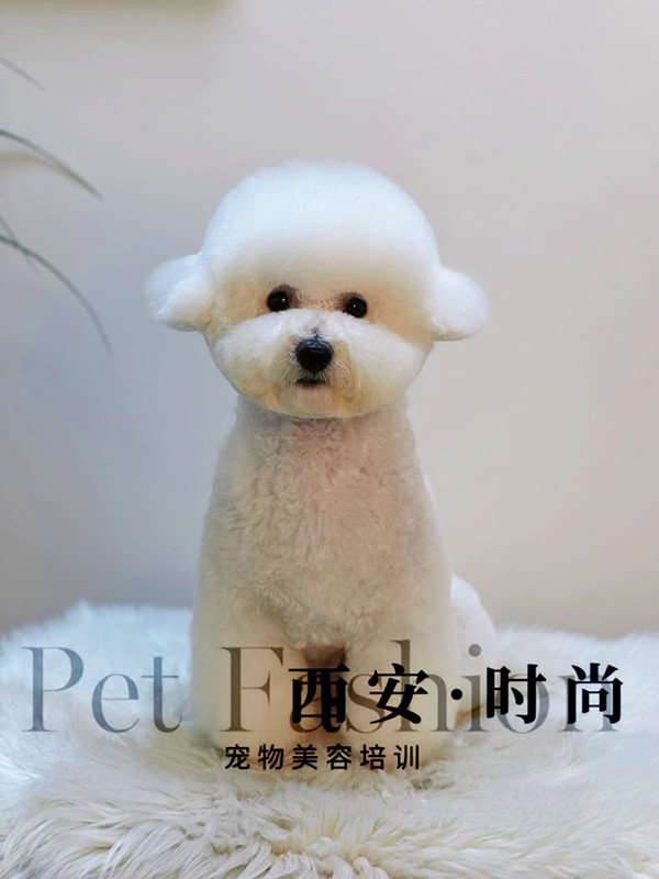 微信图片_20240604235100.jpg