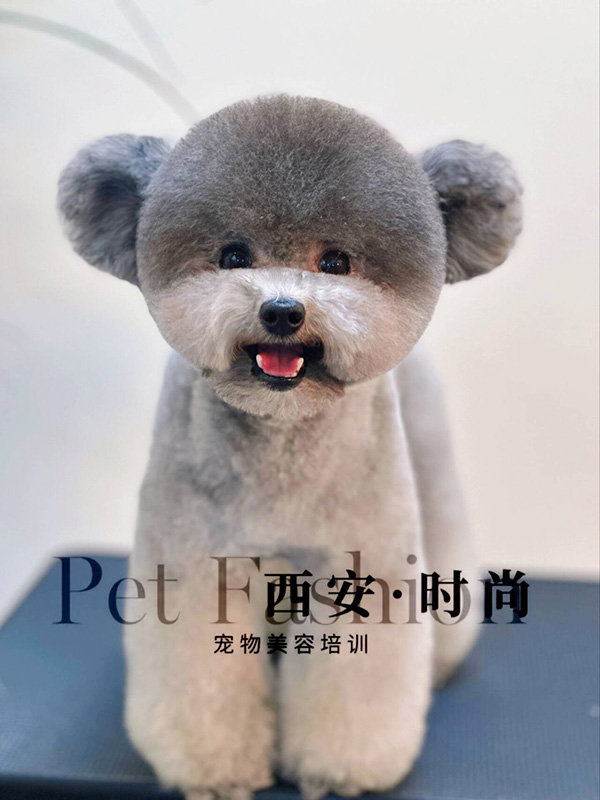 微信图片_20240604235103.jpg