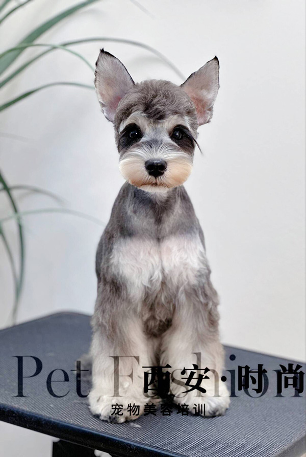 微信图片_20240604235107.jpg