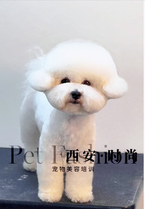 微信图片_20240604235115.jpg