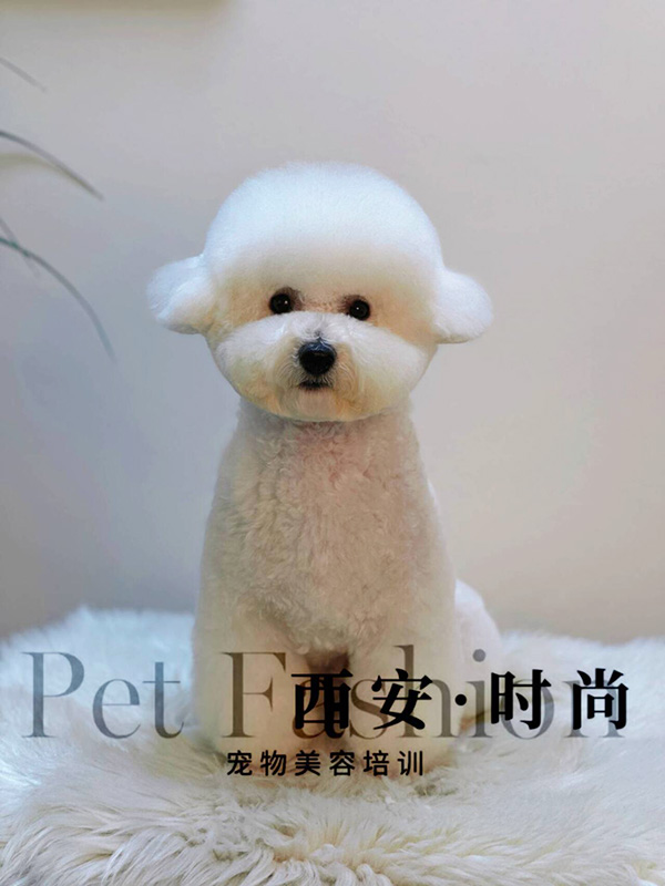 微信图片_20240604235124.jpg