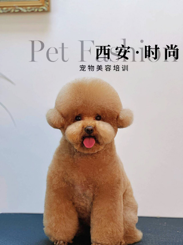 微信图片_20240604235127.jpg