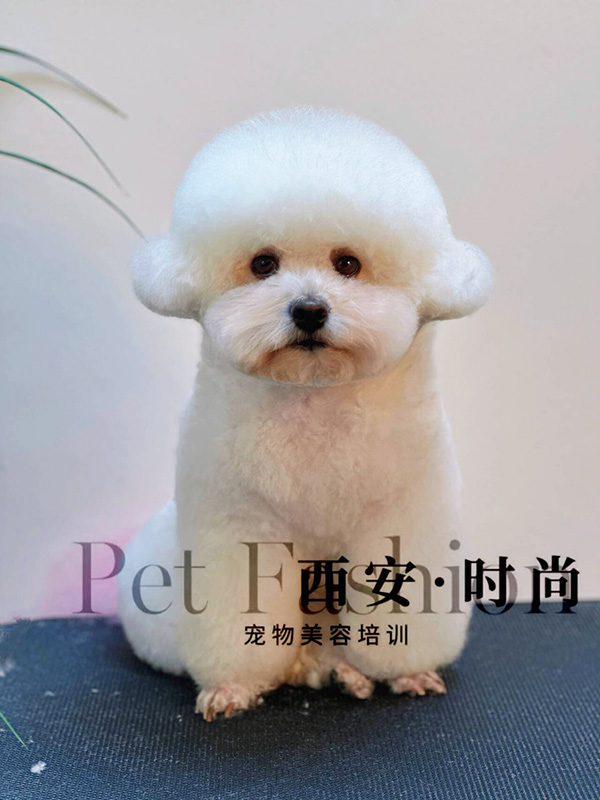 微信图片_20240604235131.jpg