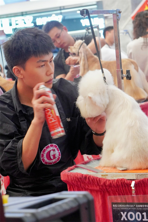 微信图片_20240923091701.jpg