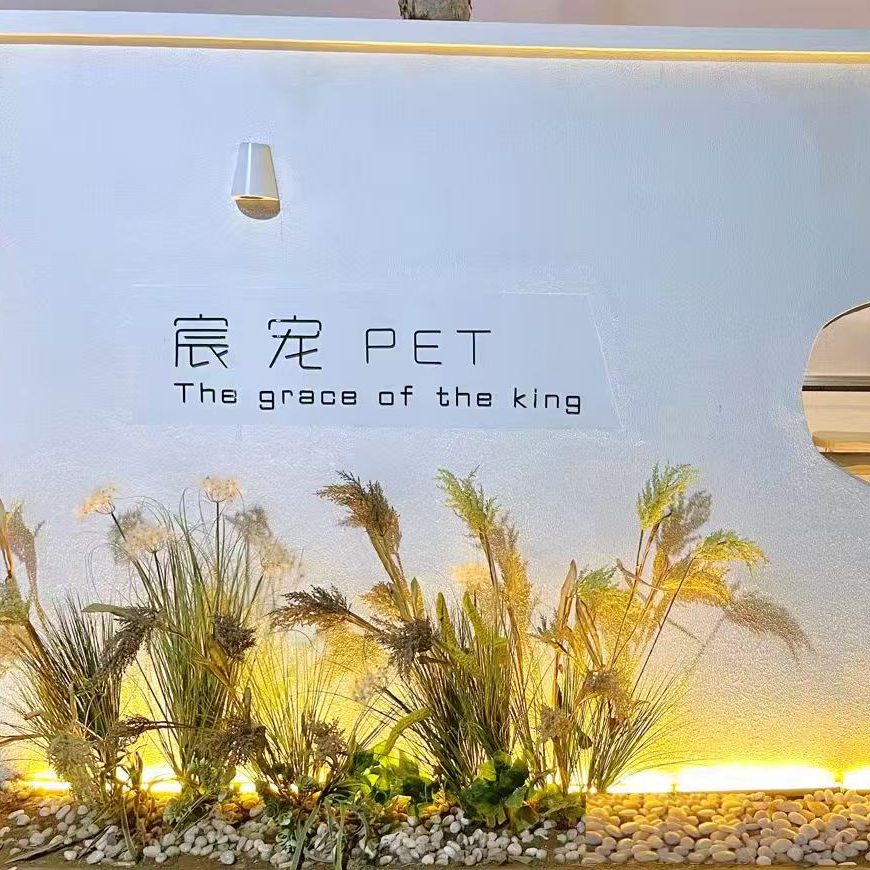 宸宠PET-A级宠美·西高地白梗犬舍·阿比西尼亚猫舍