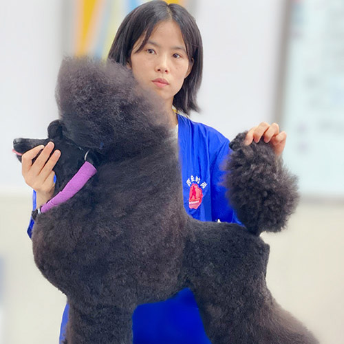 A级班修剪幼师造型