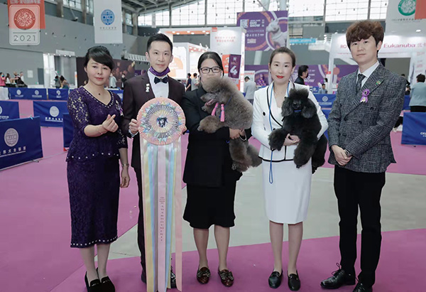 CKU国秀 贵宾单独展(图4)