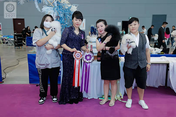 CKU国秀 贵宾单独展(图3)